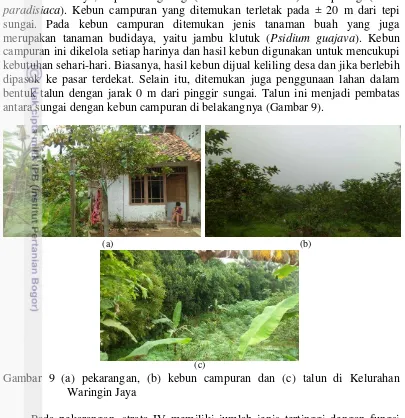Gambar 9 (a) pekarangan, (b) kebun campuran dan (c) talun di Kelurahan 