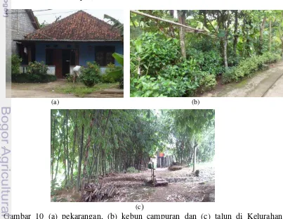 Tabel 12 Pemenuhan kriteria sampel pada Kelurahan Waringin Jaya 
