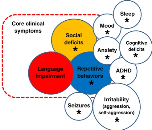 Fig. 1. Summary of key clinical features of autism spectrum disorder (ASD) and relatedity)