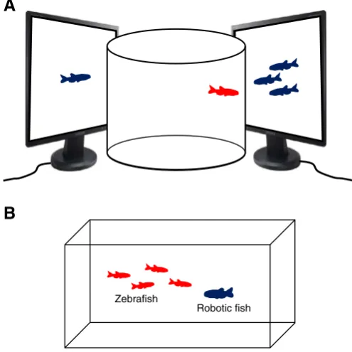 Fig. 4. Additional models for zebraﬁsh social behaviors. A: An experimental setup utilizingstandardized automated (vs