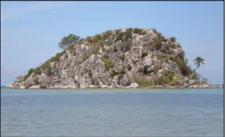 Gambar 3. Foto Pulau Karangsahi yang terletak di depan pantai berpasir daerah Karangsahi, menyingkapkan batugamping kristalin.