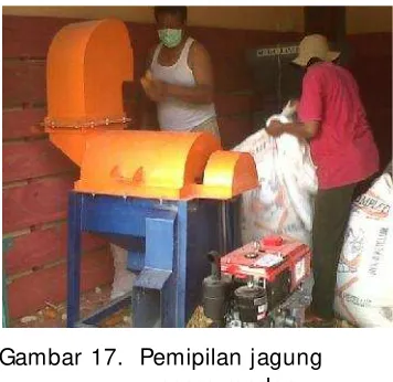 Gambar 17.  Pemipilan jagung