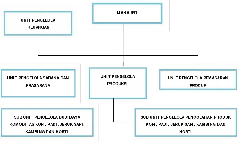 Gambar 2. Struktur Kelembagaan Kelompok Tani