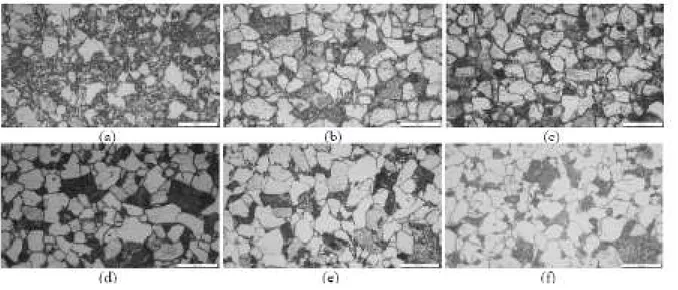Gambar 5. Sruktur mikro pada base metal : (a) PWHT 590°C, 30 menit; (b) PWHT PWHT 590°C, 60 menit; (c) 
