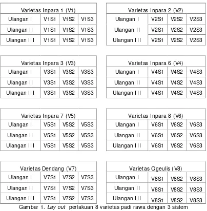 Gambar 1. Lay out perlakuan 8 varietas padi rawa dengan 3 sistem