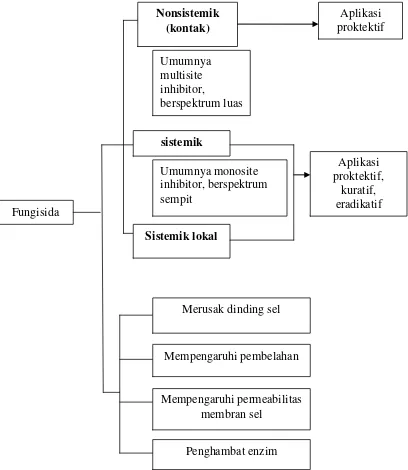 Gambar 2.2 Klasifikasi Fungisida (Djojosumarto, 2005) 