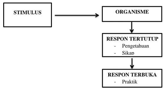 Gambar 2.1. Teori Perubahan Perilaku SOR (Skinner) STIMULUS  RESPON TERTUTUP -  Pengetahuan -  Sikap  ORGANISME RESPON TERBUKA -  Praktik 
