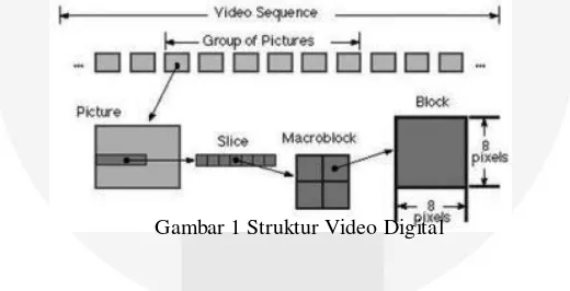 Gambar 1 Struktur Video Digital 