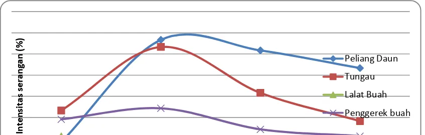 Tabel 3. Data kisaran intensitas serangan dan katagori serangan OPT pada pertanaman jeruk RGL umur 2 tahun pada bulan Juni-Oktober 2012