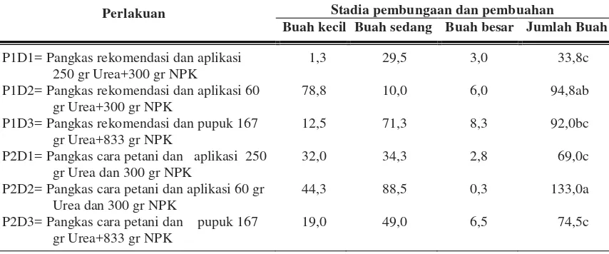 Tabel 2 . Perkembangan stadia pembungaan dan pembuahan pada pertanaman jeruk RGL setelah pemangkasan dan pemupukan pertama