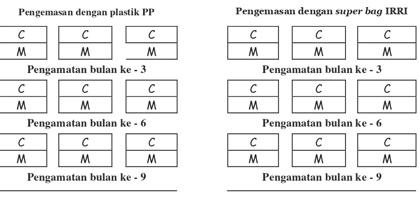 Tabel 3. Karakteristik awal mutu benih padi varietas Ciherang dan Mekongga Tahun 2008