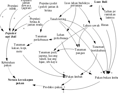 Gambar 1. Diagram causal loop model produksi dan kebutuhan pakan sapi Bali di Bali. 