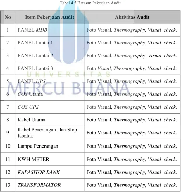 Tabel 4.5 Batasan Pekerjaan Audit 