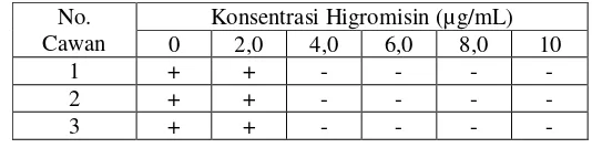 Tabel V.1 Hasil Penentuan KHM Higromisin  B terhadap M. purpureus                              ITBCC-HD-002 