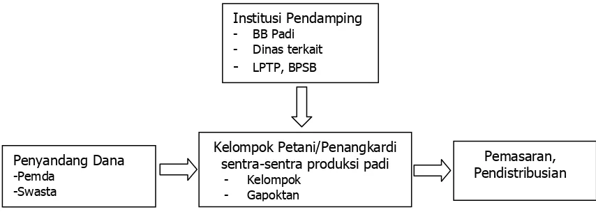 Gambar  1. Model Kelembagaan usaha perbenihan di Provinsi Kepulauan Riau. 