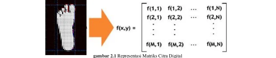 gambar 2.1 Representasi Matriks Citra Digital 