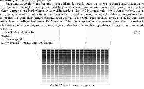 Gambar 2.2 Intensitas warna pada grayscale 