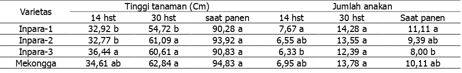 Tabel 1. Rata-rara tinggi dan jumlah anakan  tanaman padi 2 minggu setelah tanam(14 HST) dan 4 minggu setelah tanam (30 HST) dan saat panen