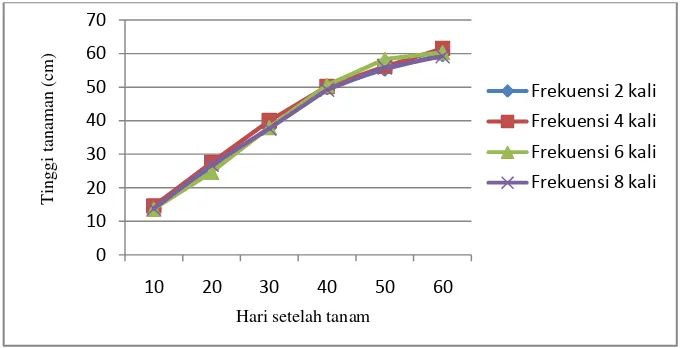 Tabel 2. Pertumbuhan jumlah daun tanaman terung pada 10-60 HST. 