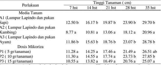 Tabel 1. Rerata tinggi tanaman sawi (B. juncea) pada Beberapa Kombinasi Media Tanam  dan Dosis Mikoriza pengamatan 7,14,21,28 dan 35 hst 