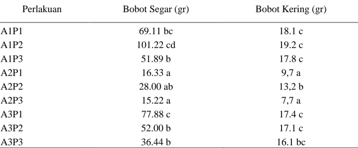 Tabel  4.  Rerata  Bobot  Segar  dan  Bobot  Kering  Tanaman  Sawi  Hijau  (B.  juncea)  pada  Beberapa Kombinasi Media Tanam dan Dosis Mikoriza 