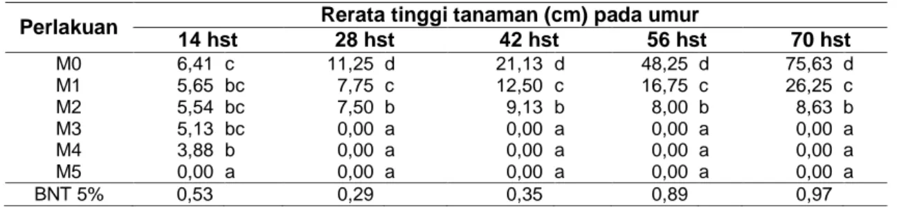 Tabel 1. Rerata Tinggi Tanaman pada Berbagai Umur Pengamatan  Perlakuan  Rerata tinggi tanaman (cm) pada umur  