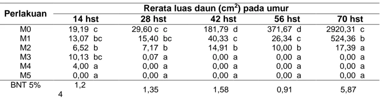 Tabel 3. Rerata Luas Daun Sengon pada Beberapa Umur Pengamatan  Perlakuan  Rerata luas daun (cm