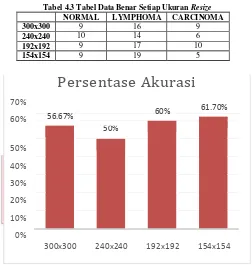 Tabel 4.3 Tabel Data Benar Setiap Ukuran Resize 