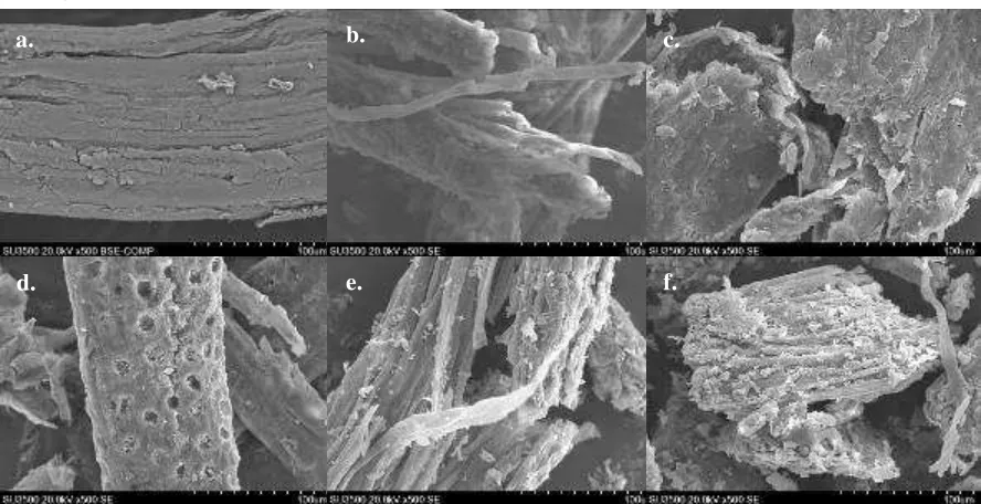 Figure 2. Fiber surface of untreated and pretreated OPEFB under variation temperature