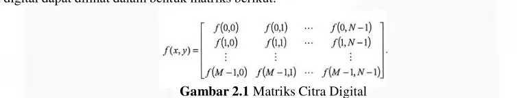 Gambar 2.1 Matriks Citra Digital 