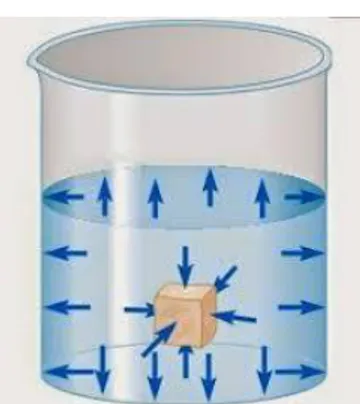 Gambar 2.1 Besar tekanan selalu sama disemua  arah pada fluida untuk kedalama tertentu;  jika tidak fluida akan bergerak