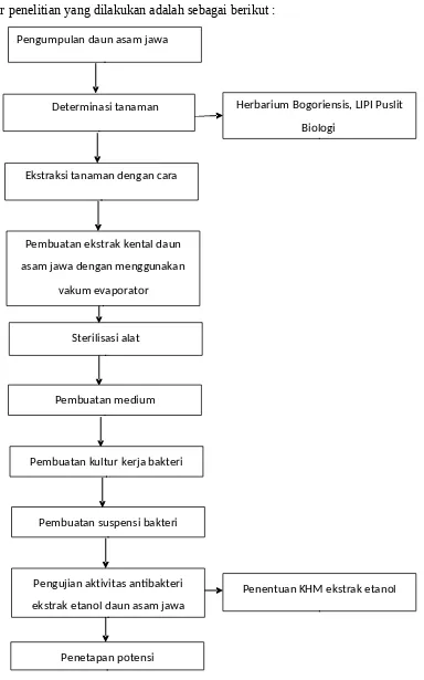 Gambar 2. Alur penelitian