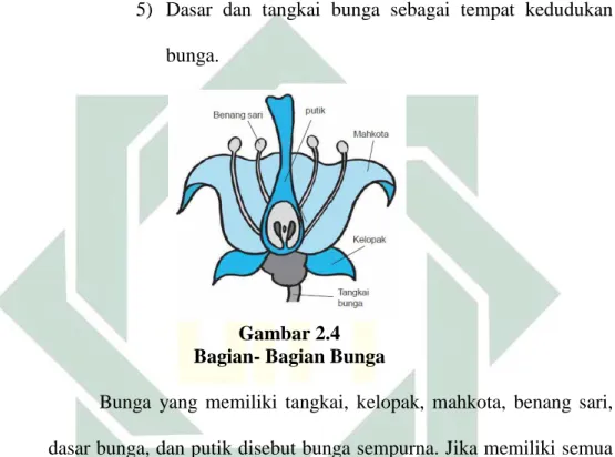 Gambar 2.4  Bagian- Bagian Bunga 