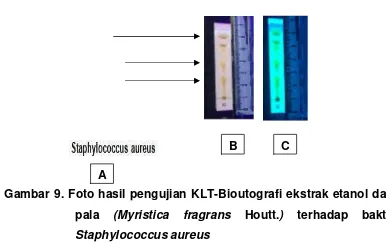 Gambar 9. Foto hasil pengujian KLT-Bioutografi ekstrak etanol daunpala(Myristica fragransHoutt.)terhadap bakteriStaphylococcus aureus