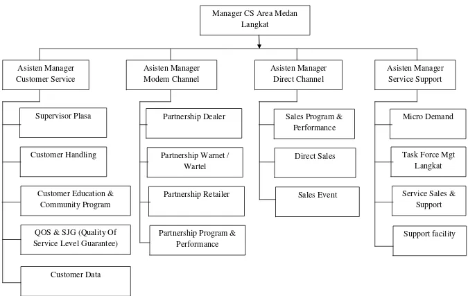 Gambar 2.1 Struktur Organisasi CS Area Medan Langkat 