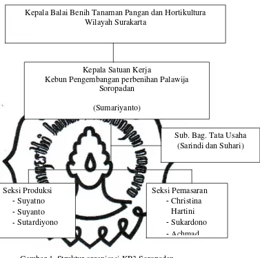 Gambar 1. Struktur organisasi KP3 Soropadan 