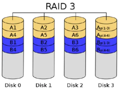 Gambar 2.4. RAID 3 