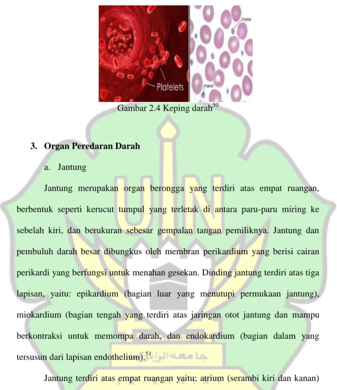 Gambar 2.4 Keping darah 50