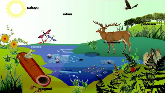 Gambar 2.7 Contoh Tatanan Ekosistem yang lengkap.   