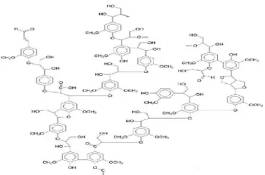 Gambar II.5 Struktur molekul lignin (Sjöström 1993; Fengel &amp; 