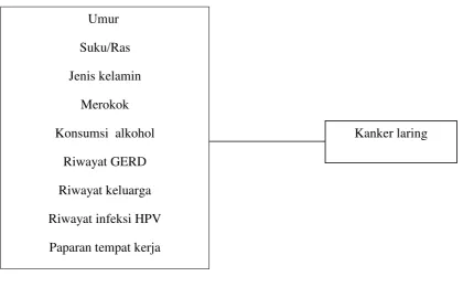 Gambar 3.1.  Kerangka konsep penelitian 