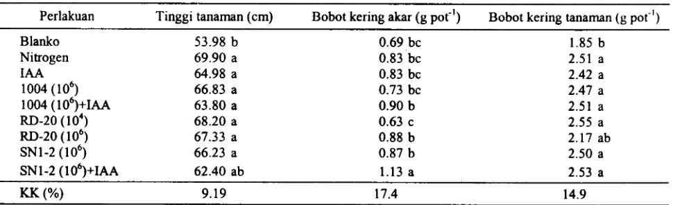 Tabel 2. Rata-rata IAA yang dihasilkan Rhizobium akibat pemberian triptopan