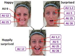 Gambar 1. Hasil ekspresi baru dari penelitian 21 wajah ekspresi manusia.  [1] 