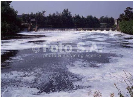 Gambar 5.4. Sungai yang tercemar deterjen 