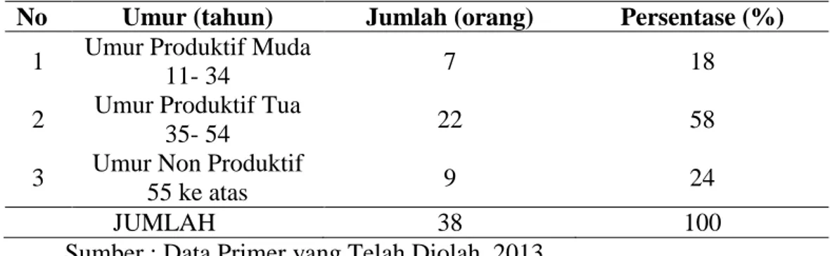 Tabel 6. Klasifikasi Responden Berdasarkan Umur di Kecamatan Walenrang Utara  Kabupaten Luwu
