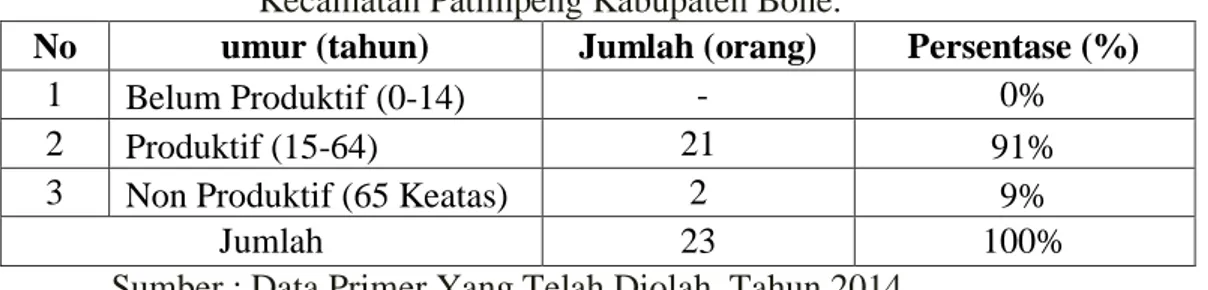 Tabel  5.  Klasifikasi  responden  berdasarkan  umur  di  desa  Batu  Lappa,  Kecamatan Patimpeng Kabupaten Bone