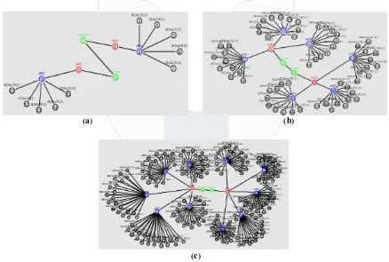 Gambar 4. Pemodelan Simulasi (a) 5 pasang UE, (b) 30 pasang UE, dan (c) 100 pasang UE 