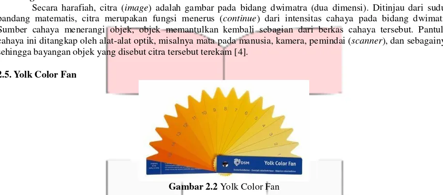 Gambar 2.2 Yolk Color Fan 
