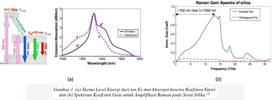 Gambar 1. (a) Skema Level Energi dari ion Er dan Absorpsi beserta Koefisien Emisi 