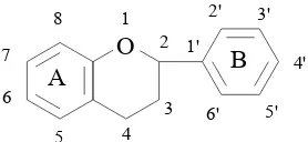 Gambar 2.3 Struktur dasar flavonoid (Markham, 1988). 